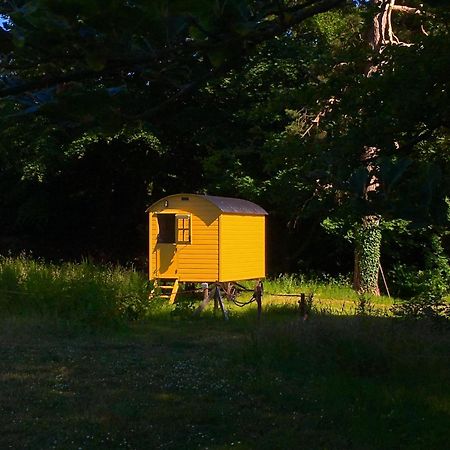 Blackstairs Shepherds Huts Killedmond Εξωτερικό φωτογραφία