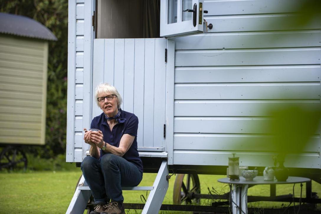 Blackstairs Shepherds Huts Killedmond Εξωτερικό φωτογραφία