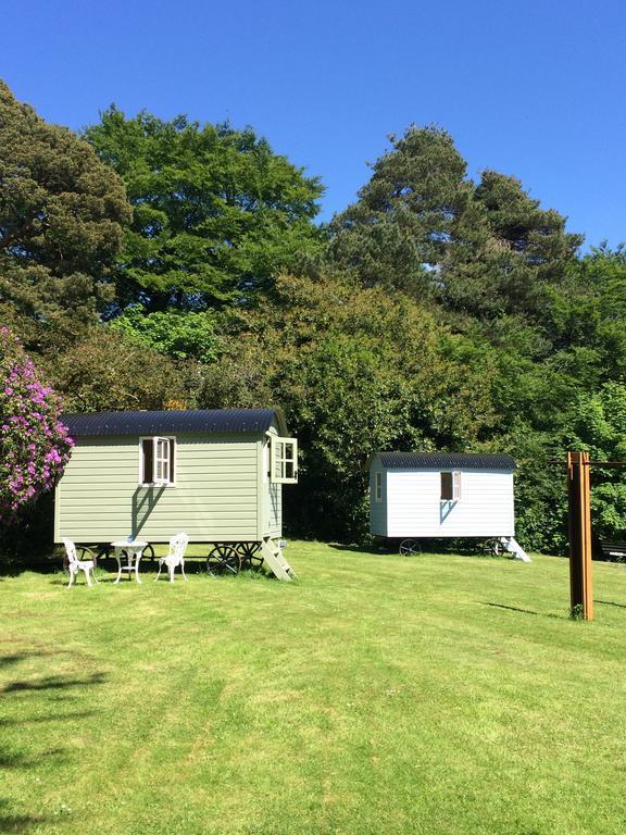 Blackstairs Shepherds Huts Killedmond Εξωτερικό φωτογραφία