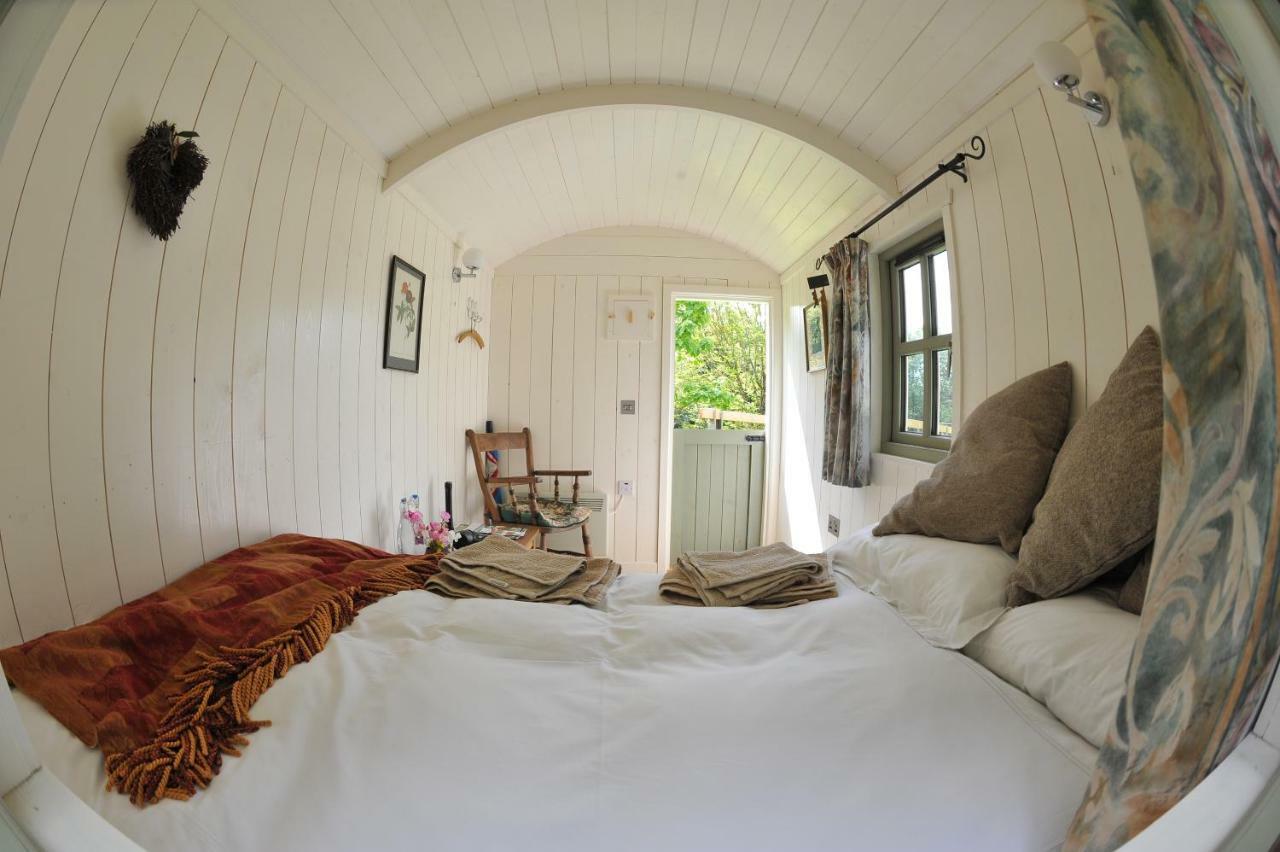 Blackstairs Shepherds Huts Killedmond Εξωτερικό φωτογραφία