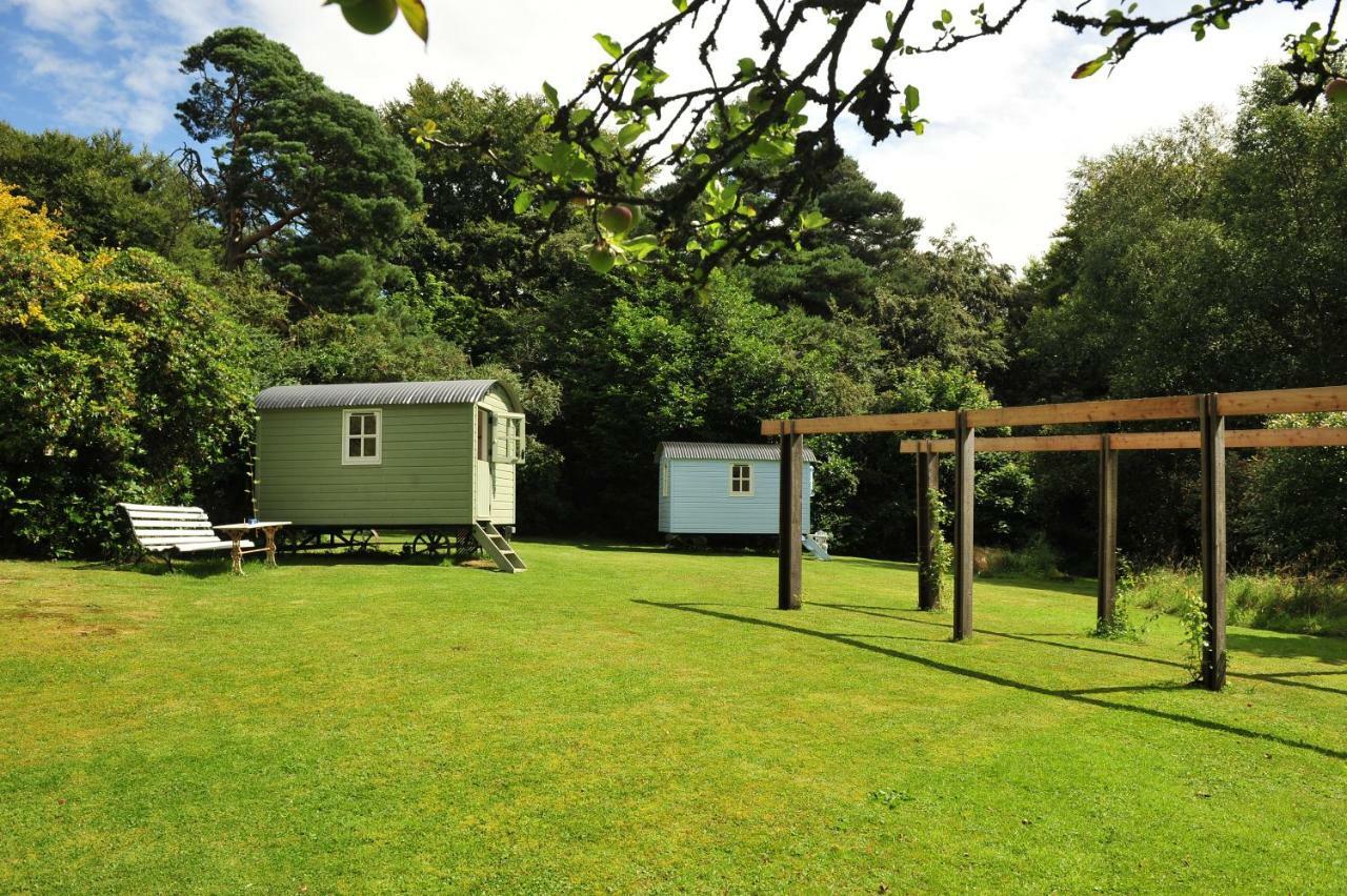 Blackstairs Shepherds Huts Killedmond Εξωτερικό φωτογραφία