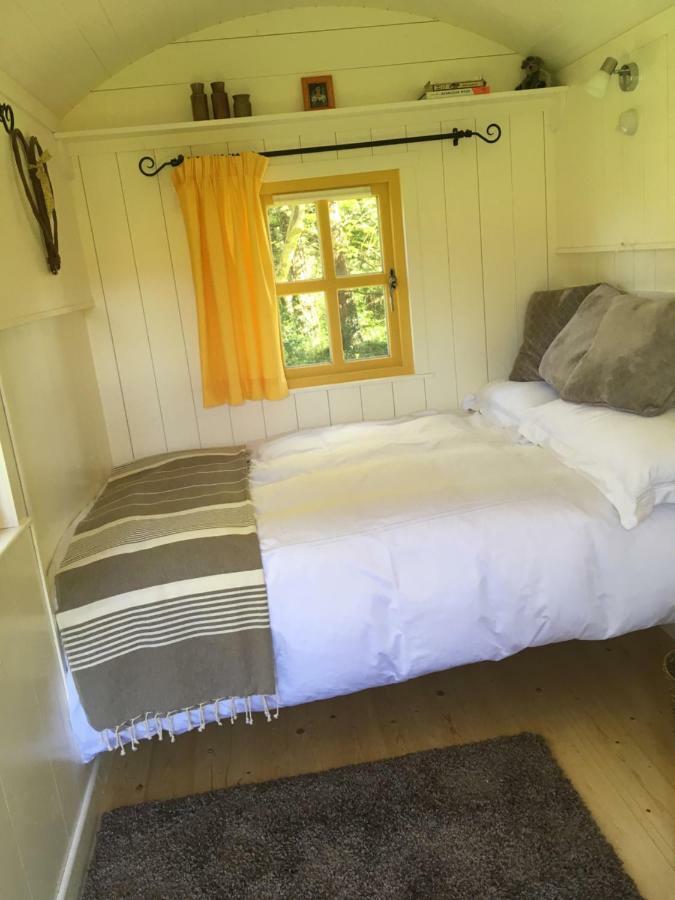 Blackstairs Shepherds Huts Killedmond Εξωτερικό φωτογραφία
