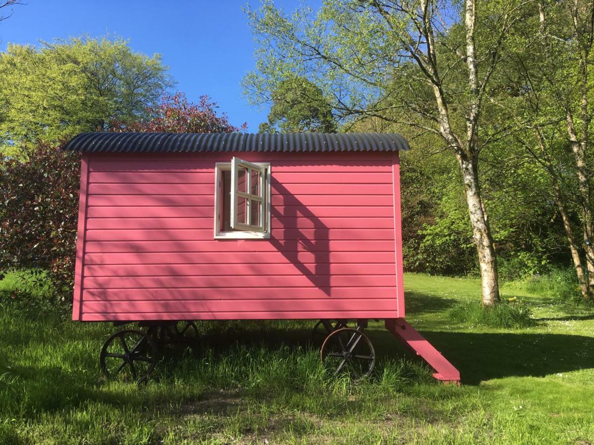 Blackstairs Shepherds Huts Killedmond Εξωτερικό φωτογραφία