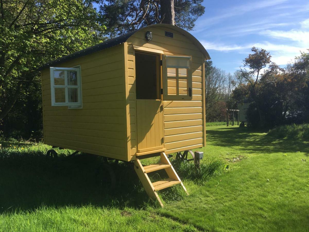 Blackstairs Shepherds Huts Killedmond Εξωτερικό φωτογραφία